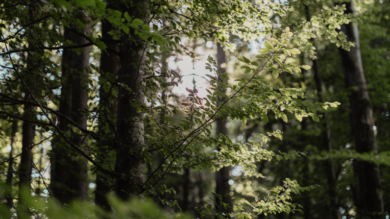 NATUR